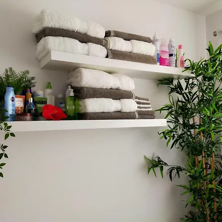 Plaza San Marcos Apartment
