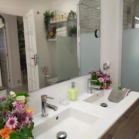 Plaza San Marcos Casco Historico *