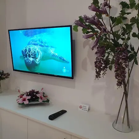 Plaza San Marcos Casco Historico Icod De Los Vinos