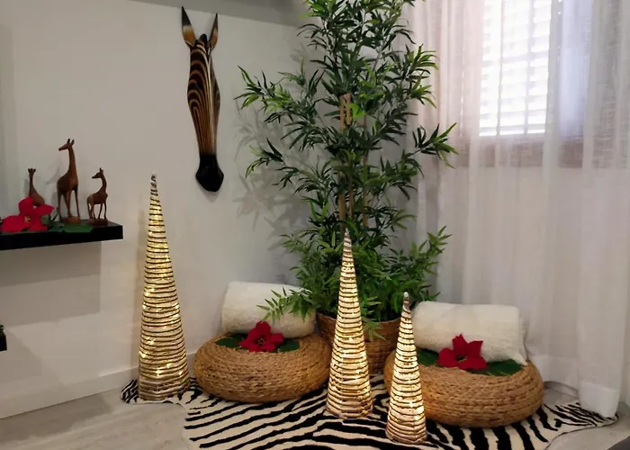 Plaza San Marcos Casco Historico Con Parking *