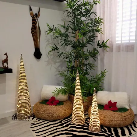 Plaza San Marcos Casco Historico *