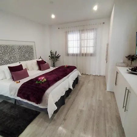 公寓 Plaza San Marcos Casco Historico 伊科德·德·洛斯·维诺斯