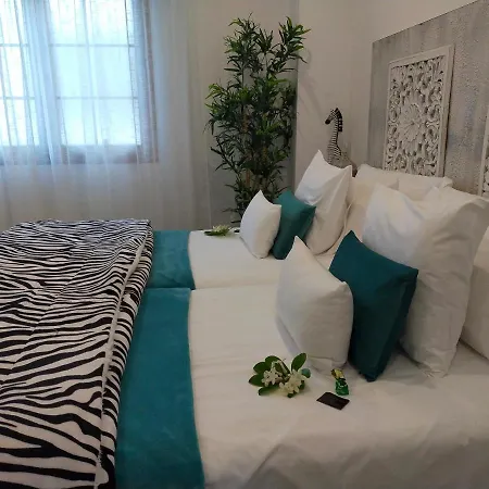 Plaza San Marcos Casco Historico * إيكود ذي لوس فينوس