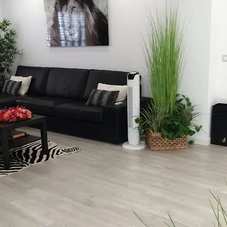 Plaza San Marcos Casco Historico