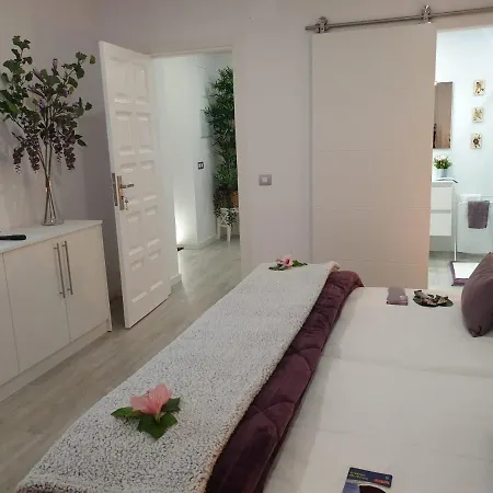 Plaza San Marcos Casco Historico *