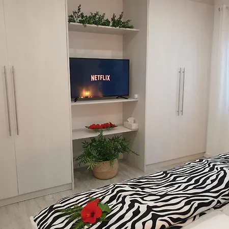 Plaza San Marcos Casco Historico