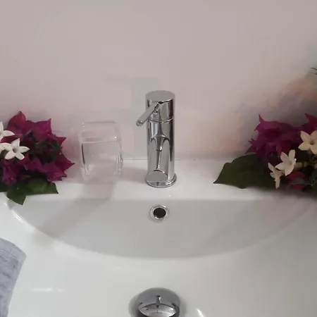 Plaza San Marcos Casco Historico * إيكود ذي لوس فينوس