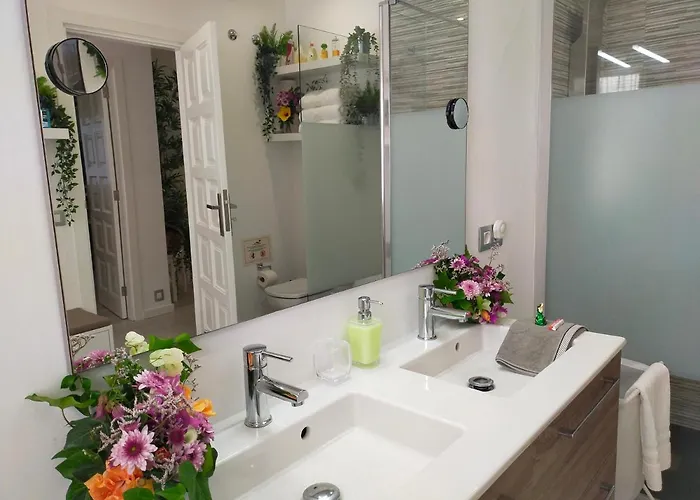 Plaza San Marcos Casco Historico Con Parking *