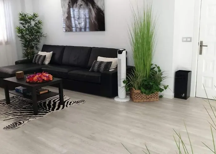 Plaza San Marcos Casco Historico Con Parking